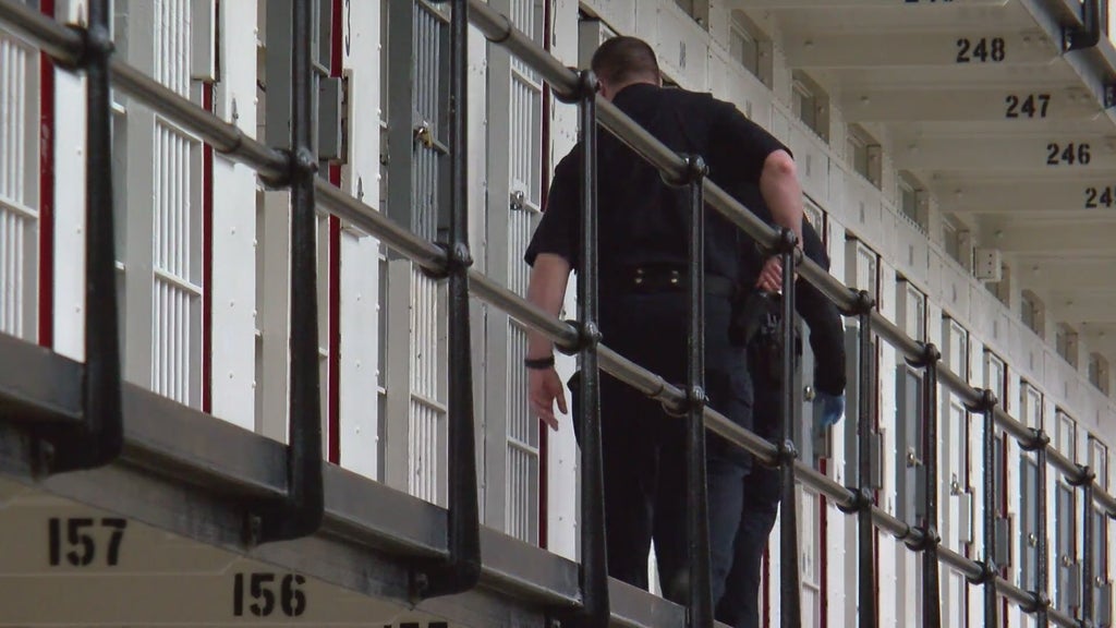 More than two dozen Georgia prisons on lockdown over security concerns following inmate fight — McDonough Health news